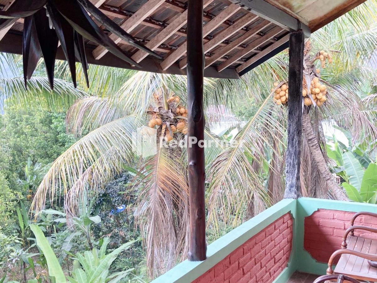 Taman Ayu Homestay Munduk Mitra Reddoorz Екстериор снимка